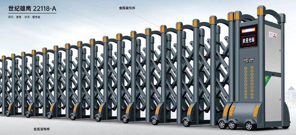 世紀(jì)雄鷹-22118-A